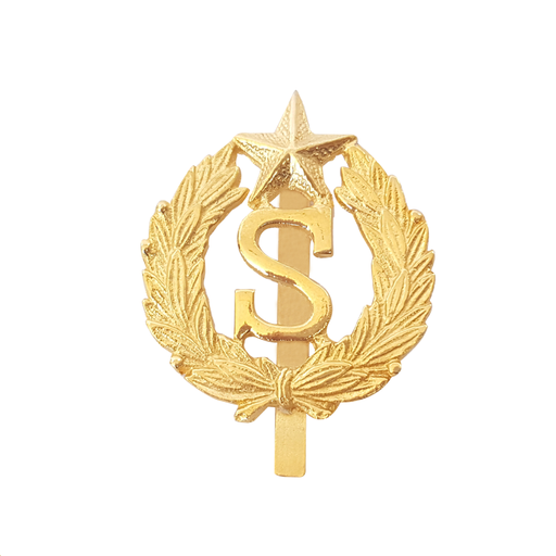 Cap badge new arrivals